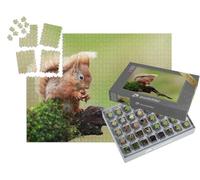 puzzleYOU : Smart Sorted® | Puzzle Photo 1000 pièces « Écureuil Rouge »