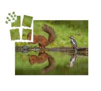 puzzleYOU : Smart Sorted® | Puzzle Photo 1000 pièces « Écureuil Rouge et Un pic épeiche »
