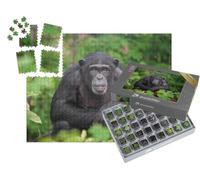 puzzleYOU : Smart Sorted® | Puzzle Photo 1000 pièces « Enclos avec des chimpanzés »