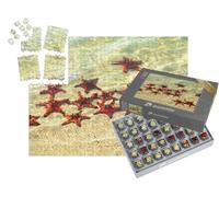 puzzleYOU : Smart Sorted® | Puzzle Photo 1000 pièces « Étoiles de mer prenant Un Bain de Soleil »