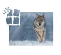 puzzleYOU : Smart Sorted® | Puzzle Photo 1000 pièces « Étude d'un Loup Gris »