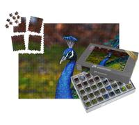 puzzleYOU : Smart Sorted® | Puzzle Photo 1000 pièces « Exemplaire de Paon mâle aux Couleurs métalliques »