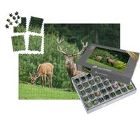 puzzleYOU : Smart Sorted® | Puzzle Photo 1000 pièces « Face à Face avec Un cerf, en arrière-Plan Une biche en Train de brouter »