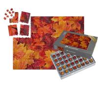 puzzleYOU : Smart Sorted® | Puzzle Photo 1000 pièces « Feuilles d'automne Rouges et organiques »