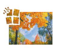 puzzleYOU : Smart Sorted® | Puzzle Photo 1000 pièces « Feuilles dorées en Automne »