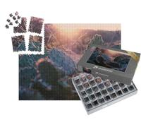 puzzleYOU : Smart Sorted® | Puzzle Photo 1000 pièces « Figuier de Barbarie dans Un Coucher de Soleil Texan »