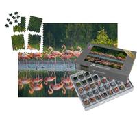 puzzleYOU : Smart Sorted® | Puzzle Photo 1000 pièces « Flamants Roses des Caraïbes dans l'eau »