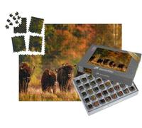puzzleYOU : Smart Sorted® | Puzzle Photo 1000 pièces « Forêt d'automne avec Troupeau de prairies en Pologne »
