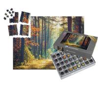 puzzleYOU : Smart Sorted® | Puzzle Photo 1000 pièces « Forêt d'automne ensoleillée »