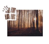 puzzleYOU : Smart Sorted® | Puzzle Photo 1000 pièces « Forêt d'automne Mystique avec des Rayons de Soleil Entre Les Arbres »