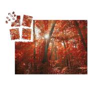 puzzleYOU : Smart Sorted® | Puzzle Photo 1000 pièces « Forêt d'automne Rouge avec lumière du Soleil »