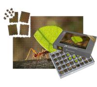 puzzleYOU : Smart Sorted® | Puzzle Photo 1000 pièces « Fourmi coupeuse de Feuilles Portant Une Feuille à Son nid »
