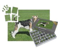 puzzleYOU : Smart Sorted® | Puzzle Photo 1000 pièces « Fox-Terrier à Poil Dur »