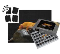 puzzleYOU : Smart Sorted® | Puzzle Photo 1000 pièces « Gecko, lézard, lézard-Gecko léopard »