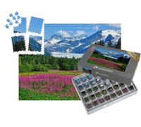 puzzleYOU : Smart Sorted® | Puzzle Photo 1000 pièces « Glacier de Mendenhall avec des Herbes de feu en Fleur, Alaska »