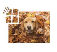 puzzleYOU : Smart Sorted® | Puzzle Photo 1000 pièces « Golden Retriever, caché dans Les Feuilles d'automne »