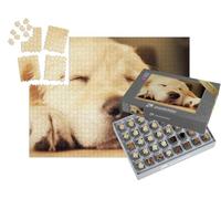 puzzleYOU : Smart Sorted® | Puzzle Photo 1000 pièces « Golden Retriever Chiot Pendant la Sieste »