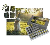 puzzleYOU : Smart Sorted® | Puzzle Photo 1000 pièces « Golden Retriever dans la lumière du Soir en été »