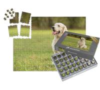 puzzleYOU : Smart Sorted® | Puzzle Photo 1000 pièces « Golden Retriever dans Le Parc »