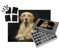 puzzleYOU : Smart Sorted® | Puzzle Photo 1000 pièces « Golden Retriever dans Une Pose Photo Parfaite »
