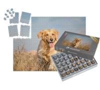 puzzleYOU : Smart Sorted® | Puzzle Photo 1000 pièces « Golden Retriever en Pleine Nature »