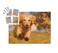 puzzleYOU : Smart Sorted® | Puzzle Photo 1000 pièces « Golden Retriever s'ébattant dans Les Feuilles d'automne »