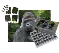 puzzleYOU : Smart Sorted® | Puzzle Photo 1000 pièces « Gorille des Plaines de l'Ouest mâle à Dos argenté »