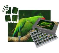 puzzleYOU : Smart Sorted® | Puzzle Photo 1000 pièces « Grand Ara Vert, Oiseau Rare du Costa Rica »