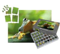 puzzleYOU : Smart Sorted® | Puzzle Photo 1000 pièces « Grenouille curieuse »