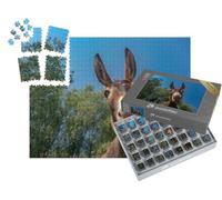 puzzleYOU : Smart Sorted® | Puzzle Photo 1000 pièces « Gros Plan sur la tête d'un âne »