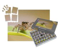 puzzleYOU : Smart Sorted® | Puzzle Photo 1000 pièces « Gros Plan sur l'araignée hyllus »