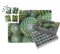 puzzleYOU : Smart Sorted® | Puzzle Photo 1000 pièces « Gros Plan sur Le Cactus tonneau doré du Centre du Mexique »