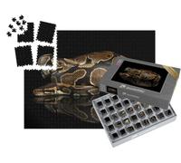puzzleYOU : Smart Sorted® | Puzzle Photo 1000 pièces « Gros Plan sur Un Python Royal »