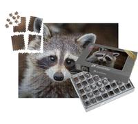 puzzleYOU : Smart Sorted® | Puzzle Photo 1000 pièces « Gros Plan sur Un Raton Laveur »