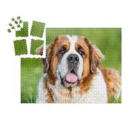 puzzleYOU : Smart Sorted® | Puzzle Photo 1000 pièces « Gros Plan sur Un Saint-Bernard »