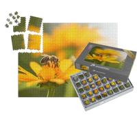 puzzleYOU : Smart Sorted® | Puzzle Photo 1000 pièces « Gros Plan sur Une Abeille et Une Fleur »