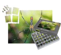 puzzleYOU : Smart Sorted® | Puzzle Photo 1000 pièces « Gros Plan sur Une araignée Veuve Noire »
