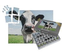 puzzleYOU : Smart Sorted® | Puzzle Photo 1000 pièces « Gros Plan sur Une Vache Noire et Blanche »