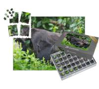 puzzleYOU : Smart Sorted® | Puzzle Photo 1000 pièces « Groupe de chimpanzés et Singe Adulte »