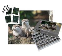 puzzleYOU : Smart Sorted® | Puzzle Photo 1000 pièces « Groupe de Quatre Petites loutres orientales attentives »