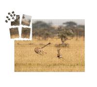 puzzleYOU : Smart Sorted® | Puzzle Photo 1000 pièces « Guépard en Chasse »