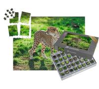 puzzleYOU : Smart Sorted® | Puzzle Photo 1000 pièces « Guépard Sauvage sur l'herbe Verte »