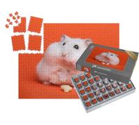 puzzleYOU : Smart Sorted® | Puzzle Photo 1000 pièces « Hamster Blanc Duveteux »