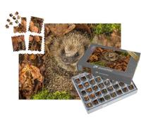 puzzleYOU : Smart Sorted® | Puzzle Photo 1000 pièces « Hérisson dans Le Feuillage »