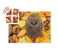 puzzleYOU : Smart Sorted® | Puzzle Photo 1000 pièces « Hérisson enroulé, Dormant dans Les Feuilles d'automne »