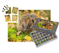 puzzleYOU : Smart Sorted® | Puzzle Photo 1000 pièces « Hérisson et amanite Tue-Mouches »