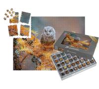 puzzleYOU : Smart Sorted® | Puzzle Photo 1000 pièces « Hibou Petit-duc, Otus scops, Une Chouette typique »