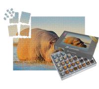 puzzleYOU : Smart Sorted® | Puzzle Photo 1000 pièces « Hippopotame Africain, Hippopotame amphibie Capensis, avec Soleil couchant, rivière Chobe, Botswana »