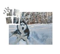 puzzleYOU : Smart Sorted® | Puzzle Photo 1000 pièces « Husky dans la Neige »