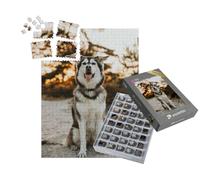 puzzleYOU : Smart Sorted® | Puzzle Photo 1000 pièces « Husky Golden Retriever Mix »